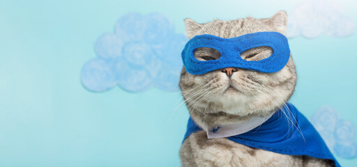 Scottish cat superhero in a mask and raincoat