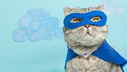 superhero cat, Scottish Whiskas with a blue cloak and mask. The concept of a superhero, super cat, leader