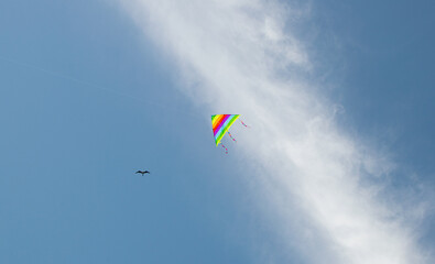 Fototapeta na wymiar colorful kite flying in the blue sky next to a bird passing by