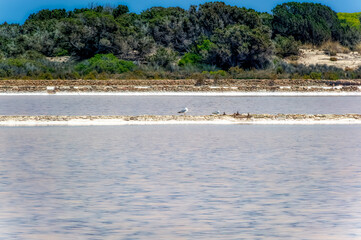 Sea salt field during hot summer day at Formentera island, Spain.