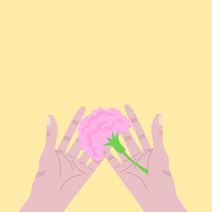 A pair of hands are giving a pink carnation, on a pale yellow background.  Vector. 
