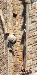Decorative fragments from Sagrada Familia in Barcelona, Spain.
