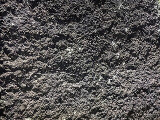 Dark gray black cement wall background or texture.