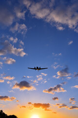 Fototapeta na wymiar A plane landing at sunset