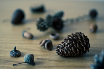 Nature harvest on a wooden table. Dark dried pinecones with textured surface. Small acorns decoration. Selective focus on the details, blurred background.