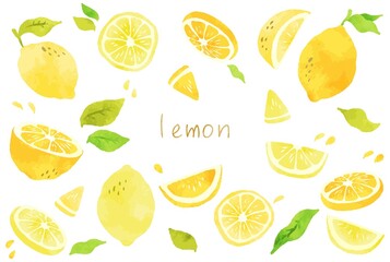 綺麗な水彩画のレモンのイラスト素材セット