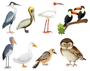 Set of bird cartoon character
