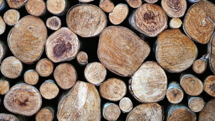 Fototapeta premium stack of firewood