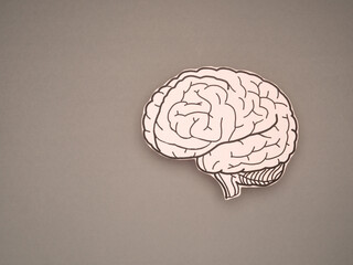 Brain shape made from paper on a gray background