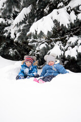 Fototapeta na wymiar Children play in the snow against the background of snow-covered fir trees