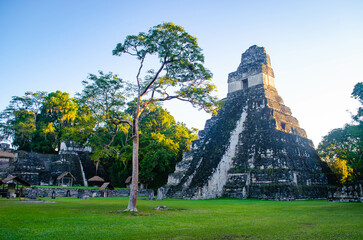 Tikal, Petén, Guatemala - obrazy, fototapety, plakaty