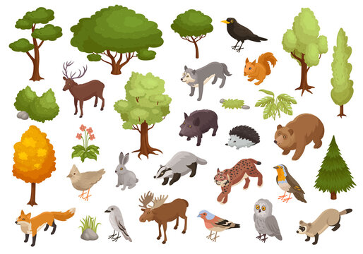 Forest Animals Icon Set