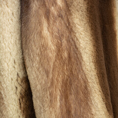 Light fur on a fur coat with a shallow depth of field and blur. Shiny, expensive pattern with...