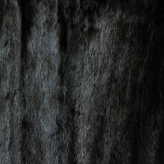 Dark fur on a fur coat. Shiny expensive pattern with textured hairs