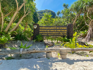 Maya Bay beach on Phi Phi island, Krabi, Thailand. landmark, destination Southeast Asia Travel, vacation and holiday concept