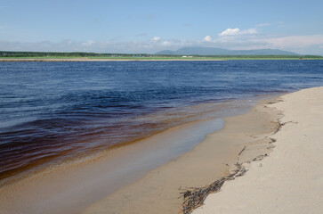 Sandy river bank in clear weather. Summer landscape.