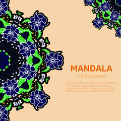 Mandala background design