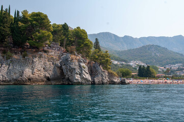 island in the sea overgrown with pine trees