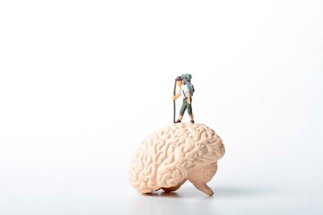 miniature figurine of an hiker on the top of an human brain