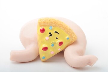 human stomach model with fat food