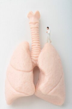 miniature figurine of a pneumologist with a giant pair of lungs on a black background