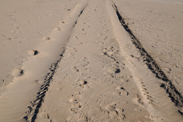 track of car tires in the sand on the beach tyre imprints on sandy desert background