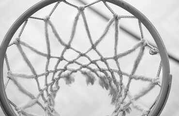 Sport net