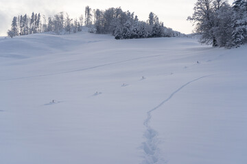 Snow covered field in Switzerland- the perfect weather for hiking