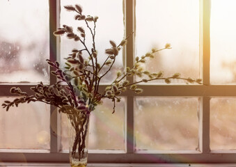 Willow twigs on   window in   vase