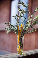 Willow twigs on   window in   vase