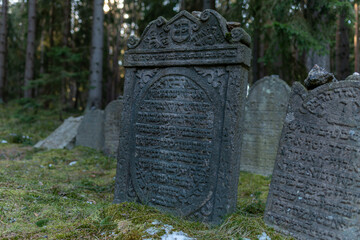 Old Jewish cemetery in the woods near the village Drmoul - Czech Republic, Europe