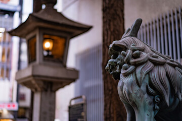 灯籠を見つめる狛犬