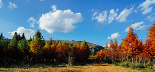 autumn in the mountains