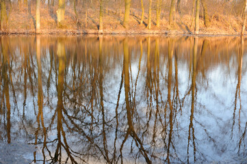 Trees reflecting in water in early spring in the evening near Chopin birth Place in Poland, Europe