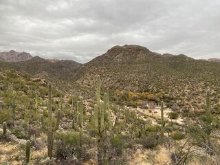 Fototapeta na wymiar Arizona
