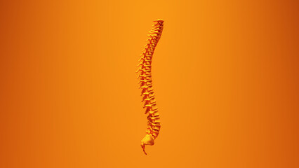 Orange Spine Spinal Cord Vertebrae Curves Vibrant Background 3d illustration render
