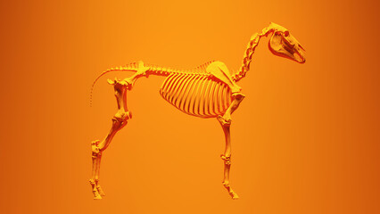 Orange Horse Skeleton with Orange Background 3d illustration render © paul