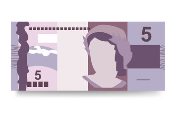 Brazilian Real Vector Illustration. Brazil money set bundle banknotes. Paper money 5 BRL. Flat style. Isolated on white background. Simple minimal design.