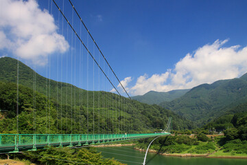 Obraz premium もみじ台大吊り橋