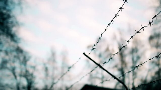 Barbed wire fence on heaven background, political prisoner, prisoner of conscience, unattainable freedom concept