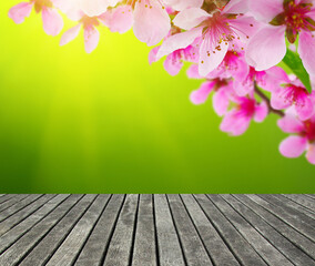 Naklejka na ściany i meble wooden spring blossom