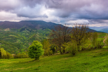 dramatic mountain scenery with trees and meadows. beautiful afternoon in springtime. green rural...