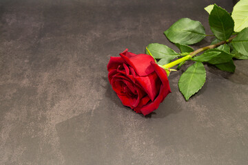 red rose on a dark gray marble background. The concept of grief and mourning