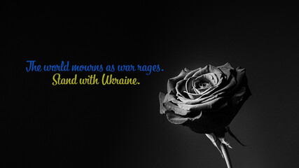 black rose - the world mourns as war rages Stand with Ukraine 