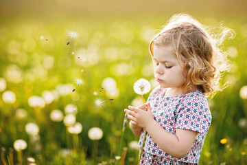 Adorable cute little baby girl blowing on a dandelion flower on the nature in the summer. Happy healthy beautiful toddler child with blowball, having fun. Bright sunset light, active kid.