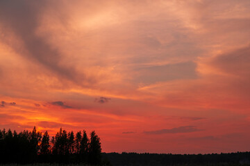 Obraz premium Red, golden colors of clouds and the silhouette of pine trees, forests below. Bright, colorful sky during sunset. Summer mood time.