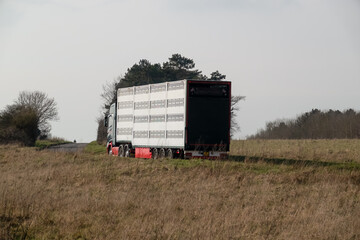 Back & side view of silver ventilated articulated trailer lorry transporting farm animal livestock...