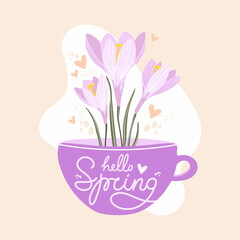 Hello Spring. Beautiful spring snowdrops flowers. Crocus bouquet in a cup. Design for poster, postcard, banner. Hand drawn vector illustration.