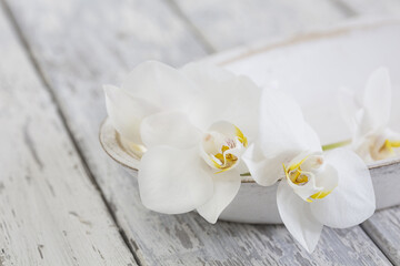 Fototapeta na wymiar Minimalistic Zen Style Orchid Sill Life