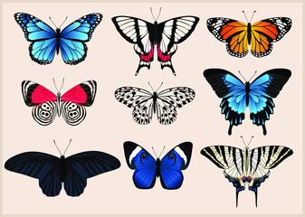 Obraz na płótnie Canvas Beautiful butterflies set. Vector isolated elements on the beige background. Vintage illustration.